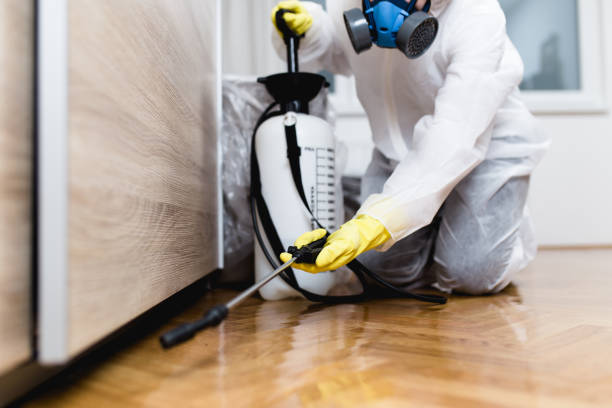 Best Exterminator Services  in Sudley, VA