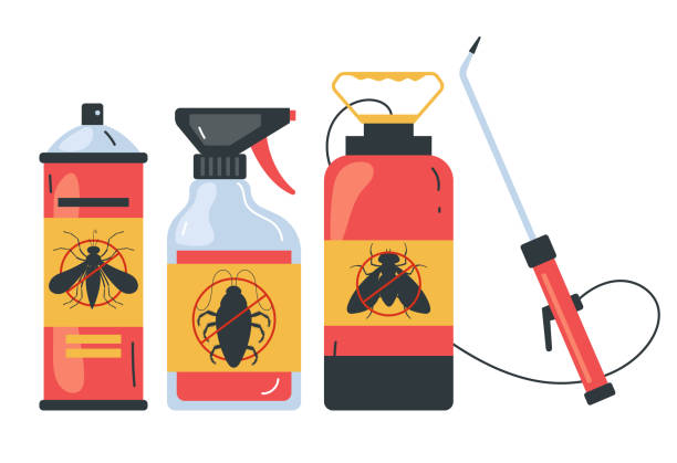Best Ant Control Services  in Sudley, VA